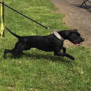 Meet your Posher, Jason